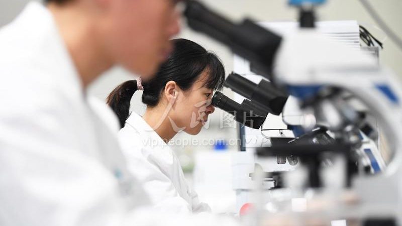 CRO优化案例：揭秘生物制药研发的“幕后英雄