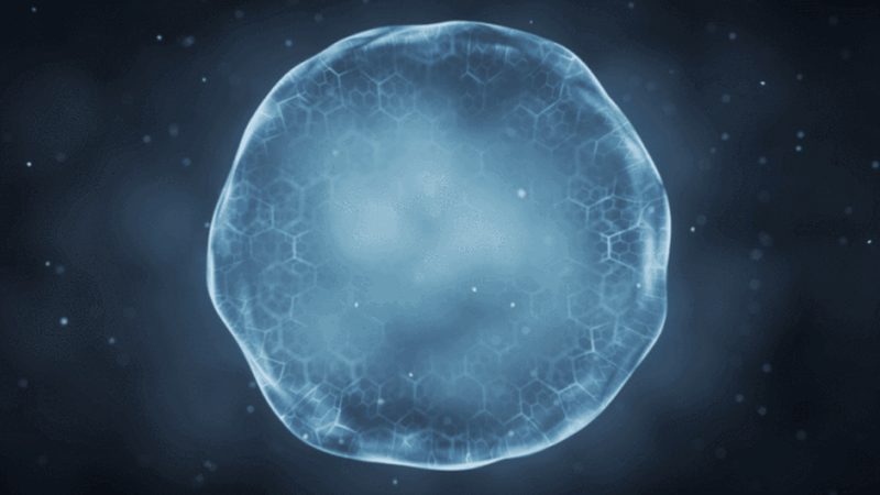 生物制品OEM代工：揭秘其背后的价值与选择**