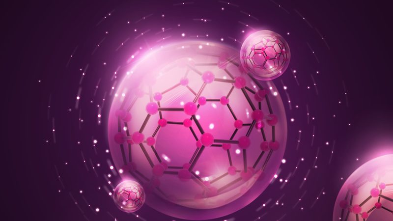 细菌培养基：如何选择合适的品牌？**