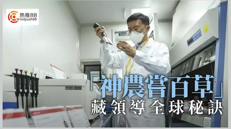 肿瘤靶向基因检测与化疗基因检测区别