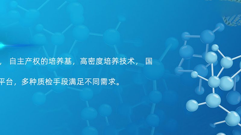 CDMO项目报价背后的隐藏成本揭秘