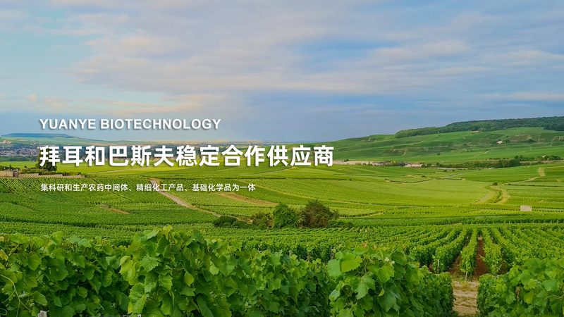 CDMO定制研发资质要求：揭秘合规之路