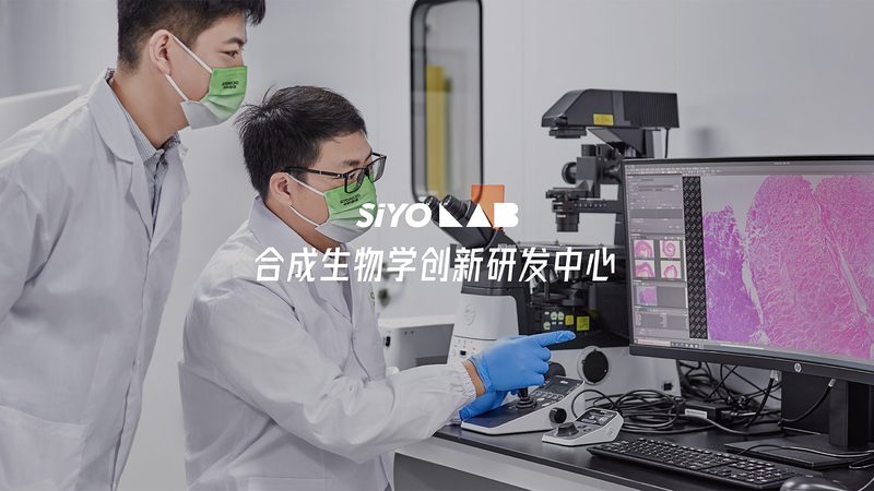 CDMO质量标准哪家好