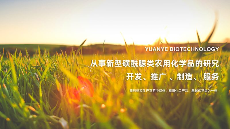 CDMO定制研发：助力企业加速新药研发进程