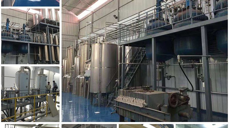 悬浮细胞培养基：揭秘其背后的技术奥秘与应用**