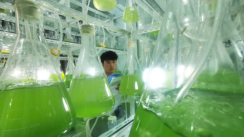 抗体亲和力检测：揭秘方法选择与成本考量